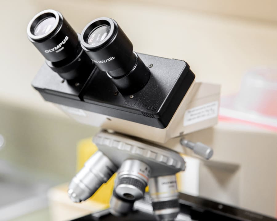 Veterinary Diagnostic Lab in Queens